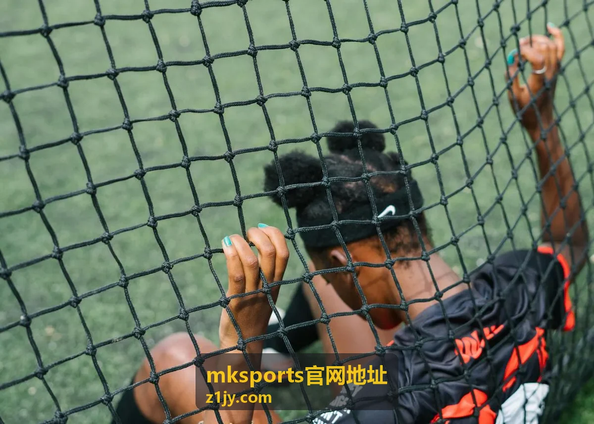 mksports官网地址平台功能说明封面图