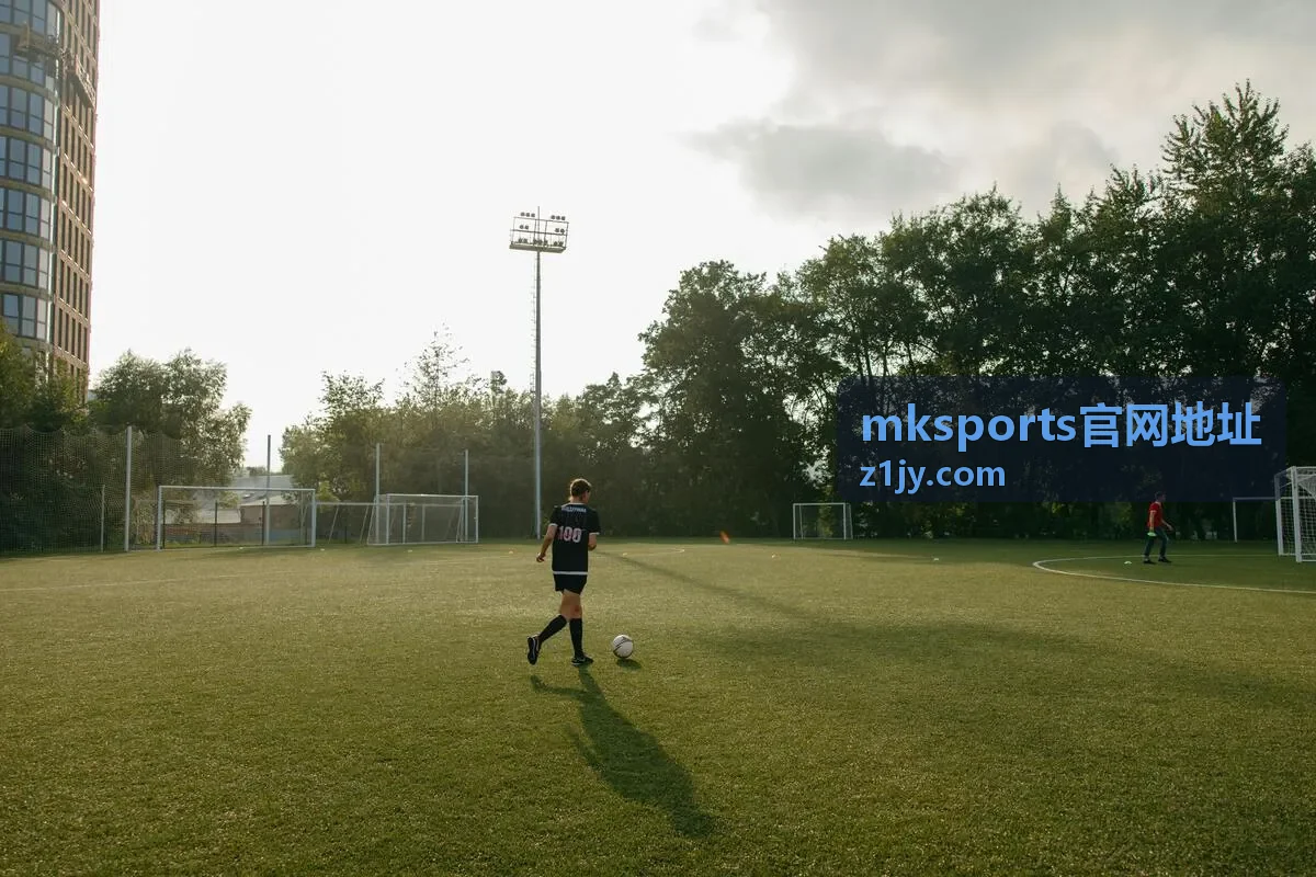mksports官网地址数据看板与筛选功能示意