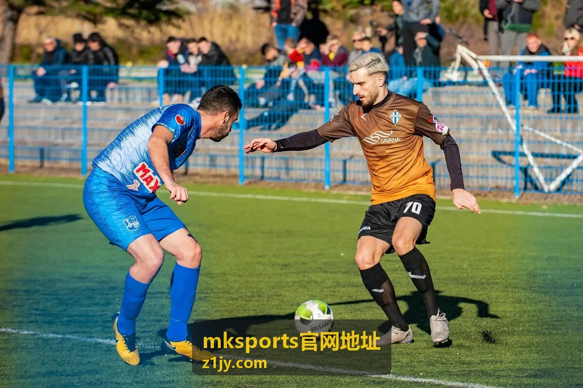 mksports官网地址 平台功能说明栏目配图