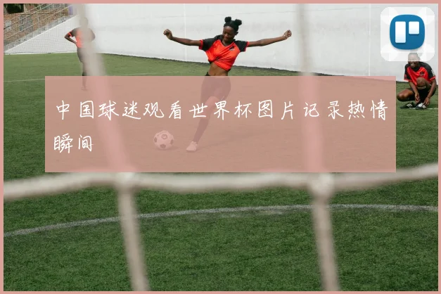 中国球迷观看世界杯图片记录热情瞬间