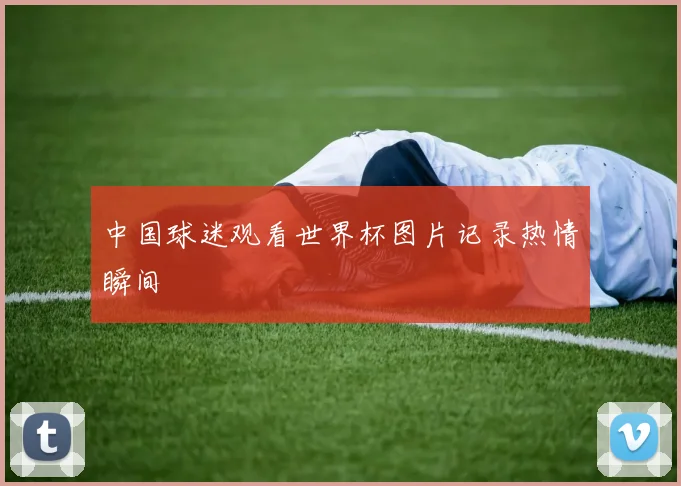 中国球迷观看世界杯图片记录热情瞬间