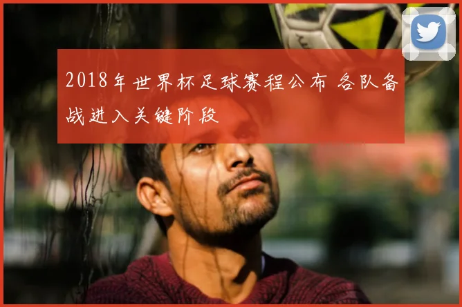 2018年世界杯足球赛程公布 各队备战进入关键阶段