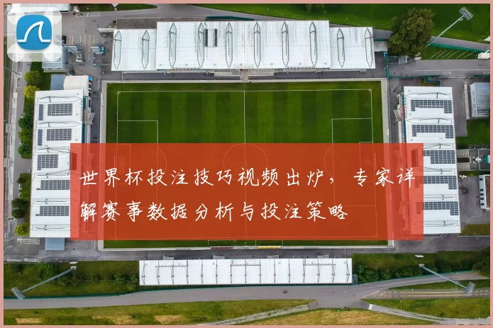 世界杯投注技巧视频出炉,专家详解赛事数据分析与投注策略