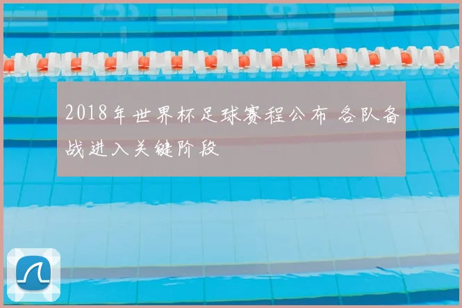 2018年世界杯足球赛程公布 各队备战进入关键阶段
